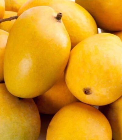 Anwar Ratul - Mangoes