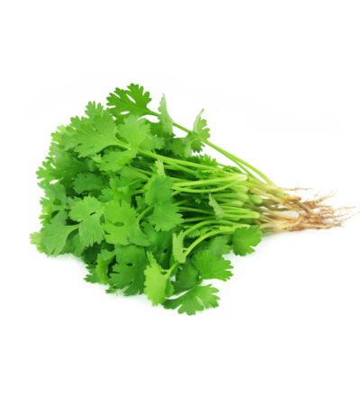 Cilantro