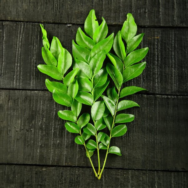Curry Leaves