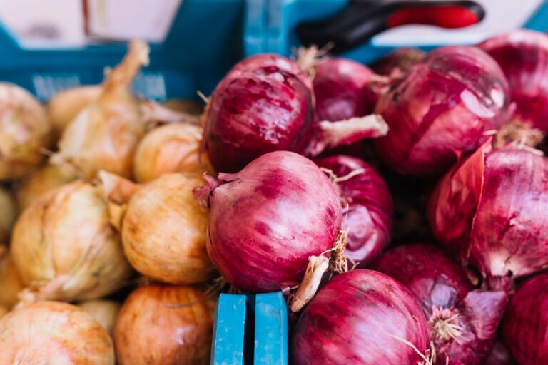 BAG RED ONIONS