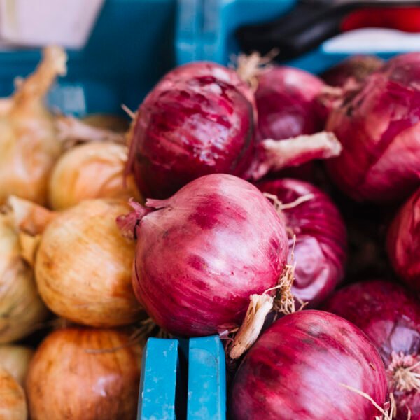 BAG RED ONIONS