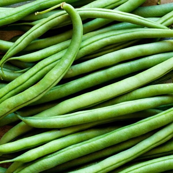Green Bean
