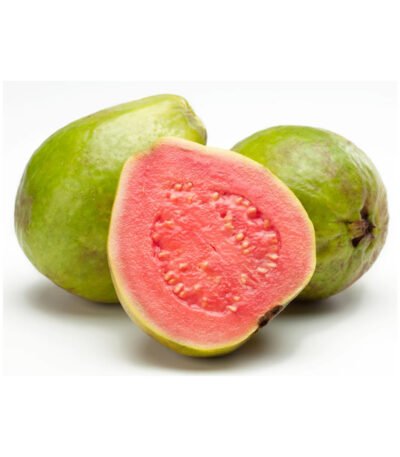Guava