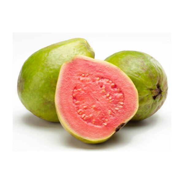 Guava