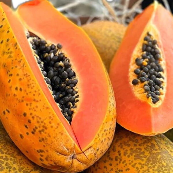 Papaya