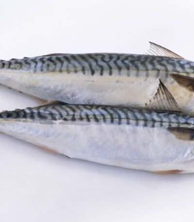 Sardines / Mackrel