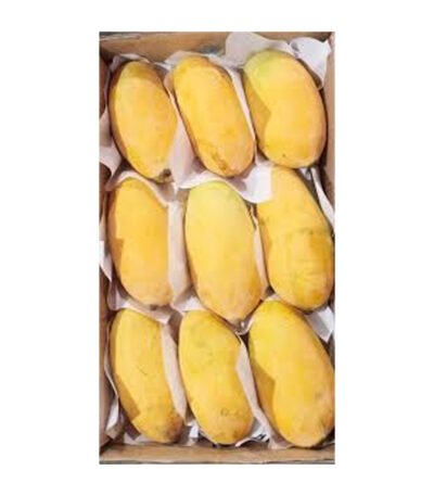 Sindhri - Mangoes