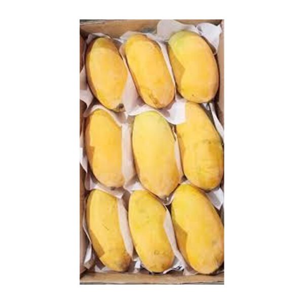 Sindhri - Mangoes