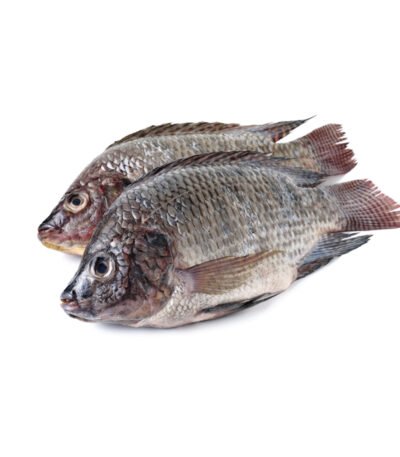 Tilapia Whole