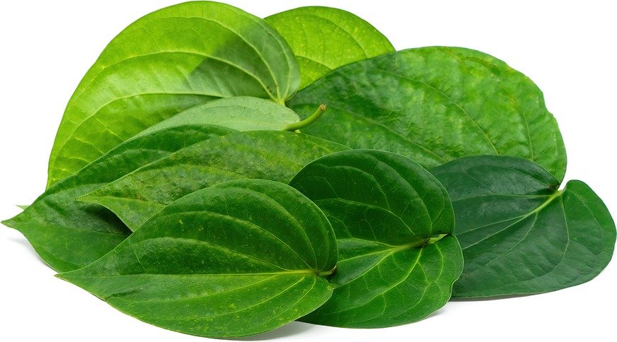 WhatsApp Image 2026-07-29 at 9.43.18 PM (1) Pan Leaves 4pice - Image 1